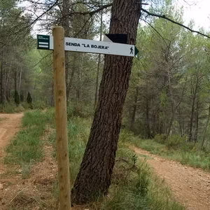 Paisaje sendero senyales