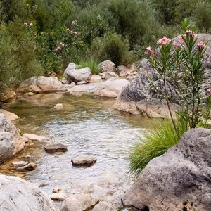 Maimona paisaje
