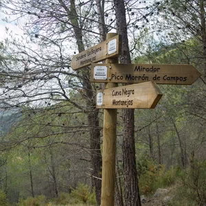 Paisaje sendero senyales