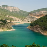 Paisaje pantano