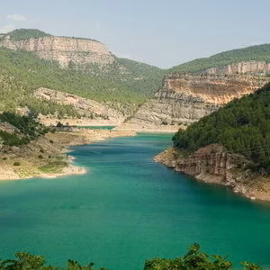 Paisaje pantano