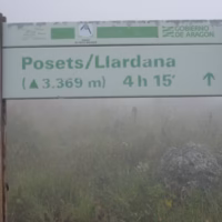 Cartel niebla