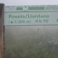 31_-_cartel_niebla