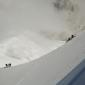 042_-_alpes_cosmiques_montanyeros_paisaje