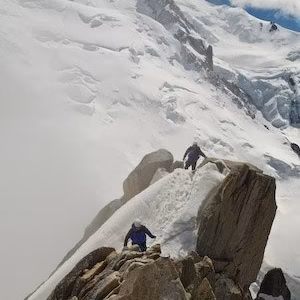 Alpes montanyeros