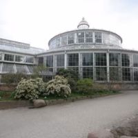 Botanico copenhague escandinavia viaje jardin urbano