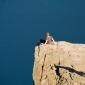 68_-_escandinavia_viaje_fiordo_lyse_montana_preikestolen_pulpito_sendirismo