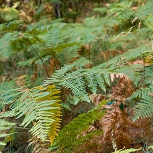 Beceite matarrana paisaje parrisal