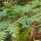 029_-_beceite_matarrana_paisaje_parrisal