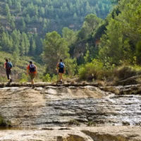 Rio grande senditos