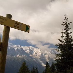 Alpes senales