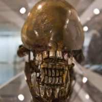 Alien  exposicion  giger