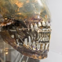 Alien  exposicion  giger