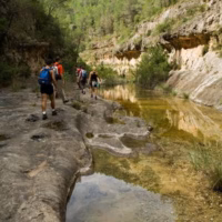Rio grande senditos