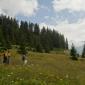 13_-_alpes_paisaje_senditos