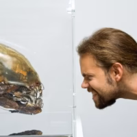 Alien  exposicion  giger