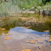 Charcos quesa paisaje