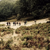 Acclivis helechos paisaje travesia calar mundo