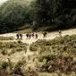 10_-_acclivis_helechos_paisaje_travesia_calar_mundo
