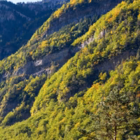 Montanya ordesa
