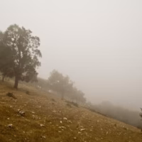 Niebla paisaje travesia calar mundo