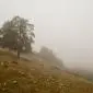 12_-_niebla_paisaje_travesia_calar_mundo