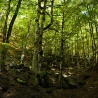 Ordesa otonyal paisaje