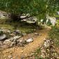 24_-_bosque_faja_pelay_ordesa_otonyal_paisaje