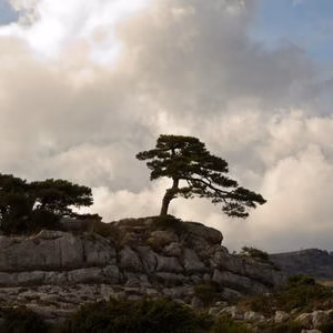 Paisaje travesia calar mundo