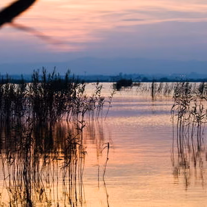 Albufera atardecer lago