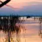 02_-_albufera_atardecer_lago