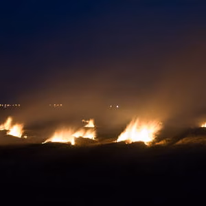 Albufera arroz campos fuego nocturna