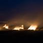 05_-_albufera_arroz_campos_fuego_nocturna