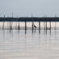 06_-_albufera_atardecer