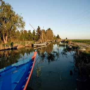 Albufera barcas puerto silla