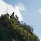 07_-_alzira_casella_jorge_paisaje