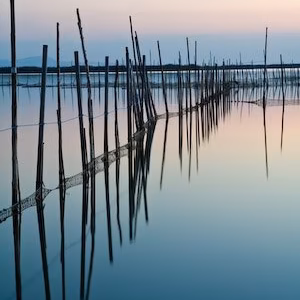 Albufera atardecer