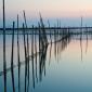 09_-_albufera_atardecer