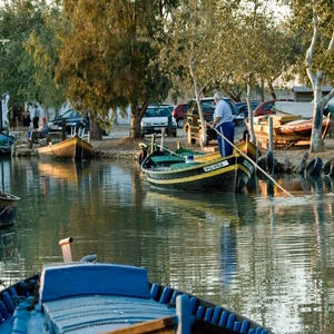 Albufera barcas percheando puerto silla