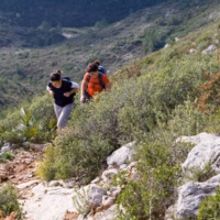 Ali alzira asun casella paisaje