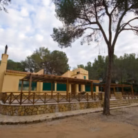 Alzira bar de la casella