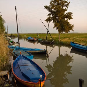 Albufera barcas puerto silla