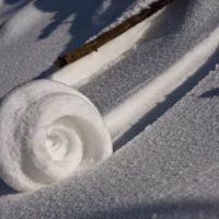 Nieve penyarroya