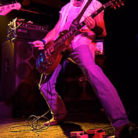 Concierto elloco mateo emergenza guitarra retrato the carminers