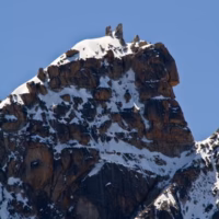 Alpes argentiere dru montana paisaje