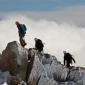 44_-_alpes_deportiva_montana_montaneros_paisaje