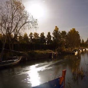 Albufera barcas nocturnas puerto silla