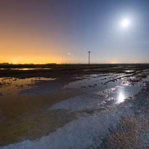 Arrozales campos nocturna paisaje