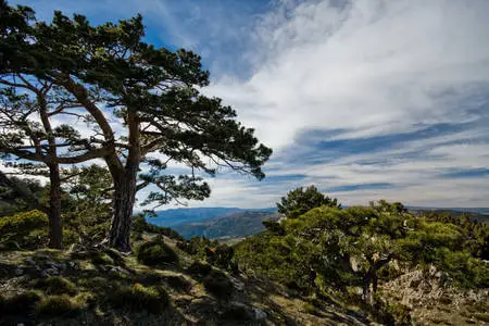 montaña paisaje peñagolosa