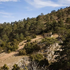 Montanya paisaje penyagolosa